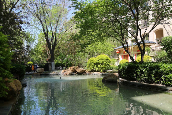 天山(shān)集(ji)團(tuán)