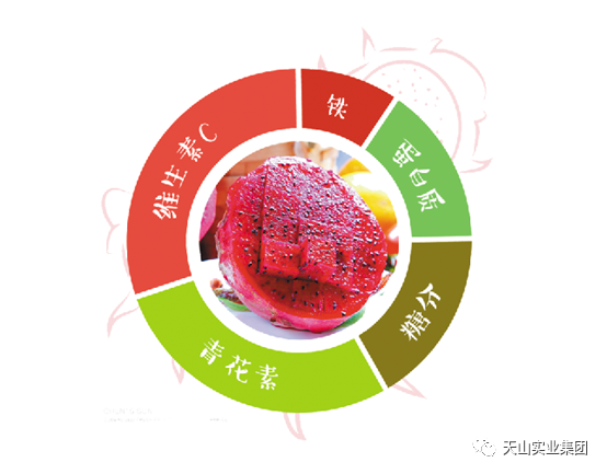 天山(shān)事業集(ji)團(tuán)